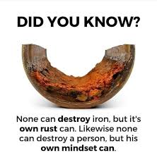 Did You Know?